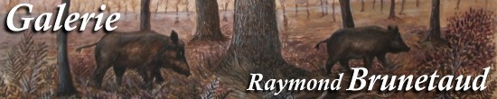 Raymond Brunetaud